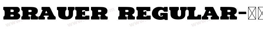 Brauer Regular字体转换